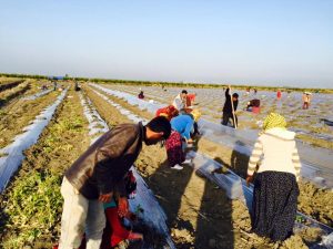 10940631_10153031277794110_3437137553256272113_n