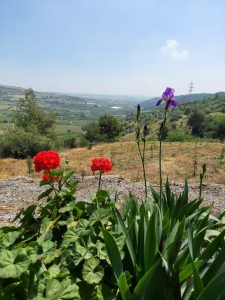 Cin Fikirlerle Tarımın Sorunlarını Çözemeyeceksiniz